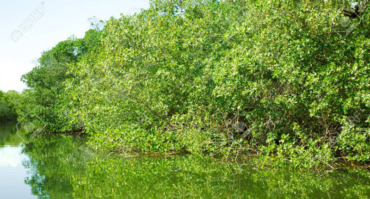 Marco Island best water tour experience